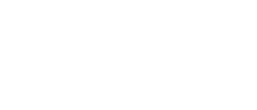 seidhpub full logo white